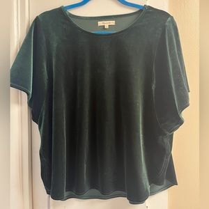 Madewell Green Butterfly Velvet Top